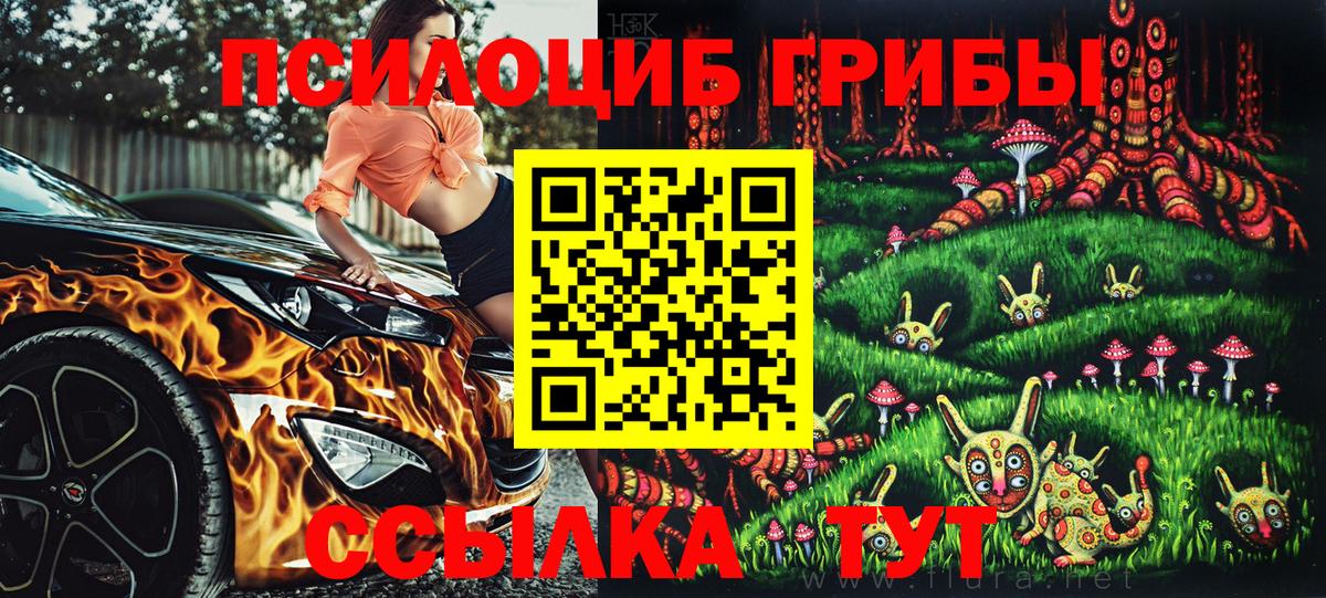 Псилоцибиновые грибы прущие грибы Чернушка